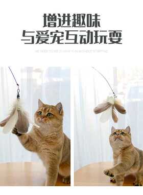 猫猫玩具长杆钢丝逗猫棒羽毛逗猫杆替换头互动自嗨耐咬