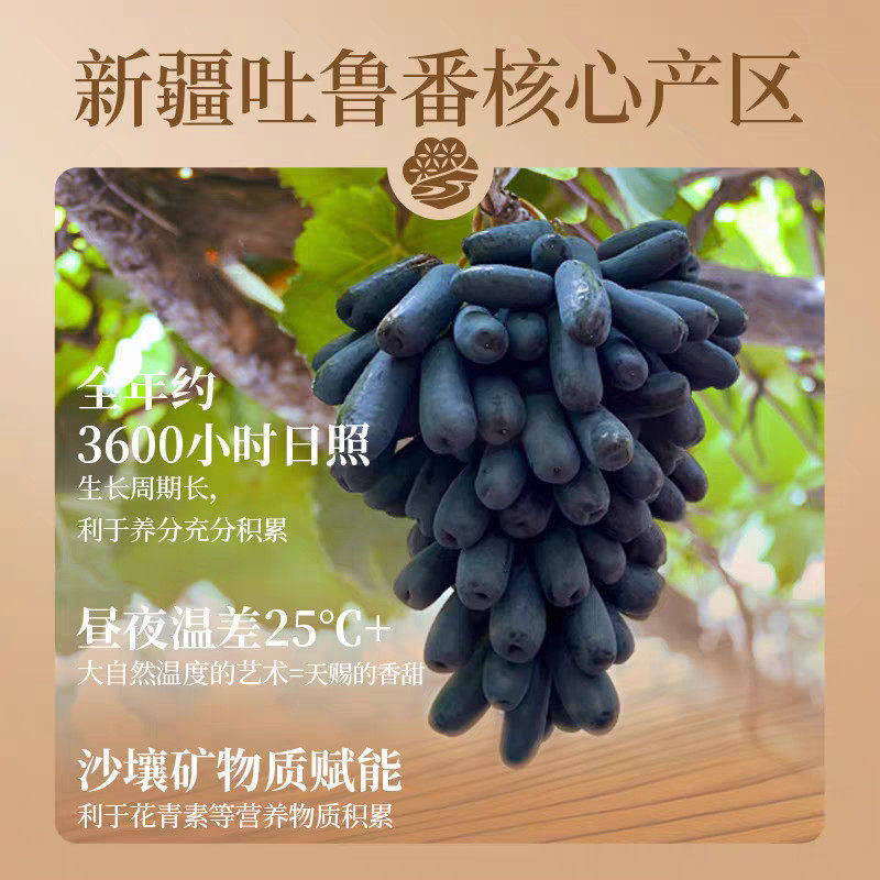 【年终优惠30】正宗新疆蓝宝石葡萄干黑美人金手指无添加零食,淘宝优惠券,粉丝福利购,淘宝优惠卷