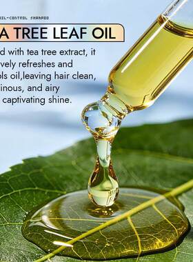 Tea Tree Refreshing Shampoo 520ml 茶树清爽滋润柔顺洗发水