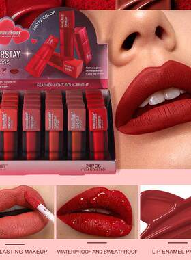 Hot Matte Square Tube Lipstick 爆款哑光方管滋润唇釉