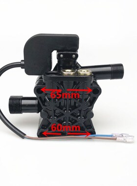 洗车机泵头总成家用全自动手提式高压清洗机洗车器刷车器220v配件