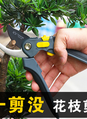 鹰之印园林园艺剪刀花枝修剪树枝剪刀果枝剪修枝修花剪刀省力剪子