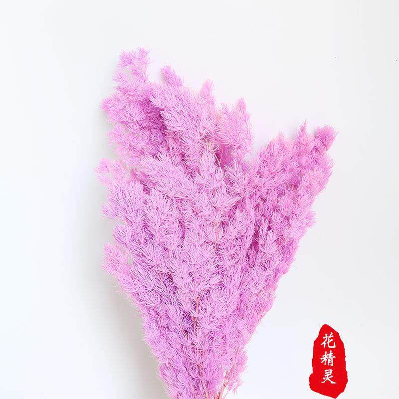 永生花蓬莱松 礼盒玻璃罩制作材料diy花材雪松浮游云南基地,淘宝优惠券,粉丝福利购,淘宝优惠卷