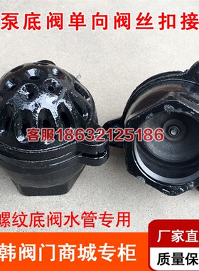 H12X-10内螺纹底阀止回阀铸铁吸水阀抽水泵底阀DN40 50 65 80 100