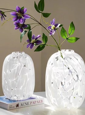 感大肚圆形玻璃花瓶原色雪花水养吊钟插花家居样板房落地摆件