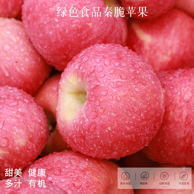 甘肃正宁秦脆苹果脆甜绿色食品