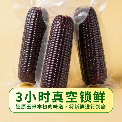 迪易有机认证东北黑糯玉米10根真空包装礼盒装新鲜糯玉米代餐粗粮 - 图0