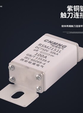 直流熔断器DC750V-DC1000V充电桩熔断器RSM2151L(170M)/100A/200A