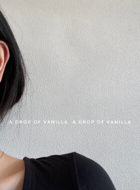 耳环VANILLA银经典简约无女