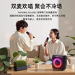 JBL 音乐战将欢唱版2 蓝牙音箱 户外家庭KTV麦克风一体机派对音响