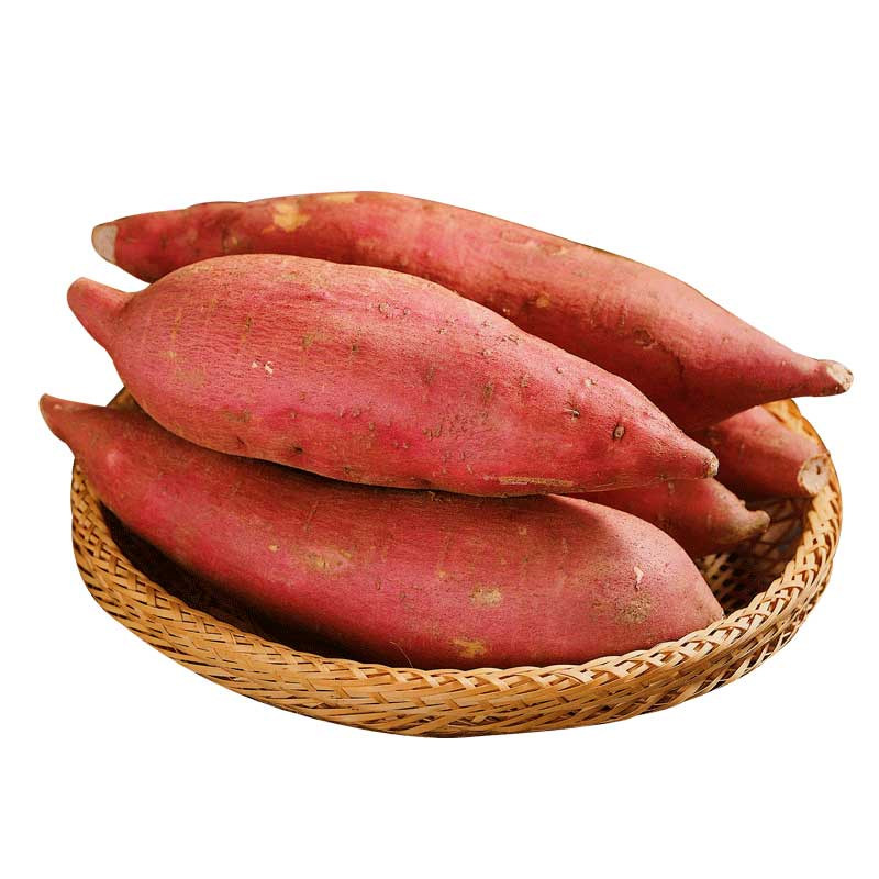 红薯新鲜黄心地瓜沙地正宗农家自种红瑶蜜薯番薯红心糖心小香薯