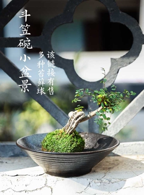 陶瓷斗笠碗中式中华花艺剑山插花器皿禅意花盘花盆苔藓球托盘花器