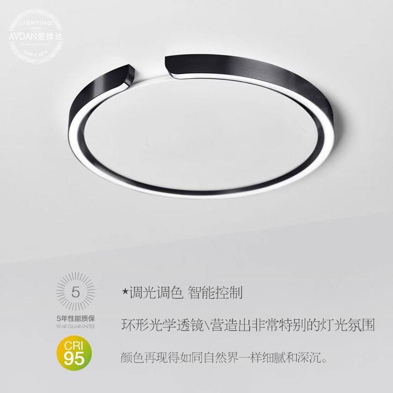 Light luxury minimalist ultra-thin creative German ring round LED ceiling lamp living room bedroom study room decoration C character