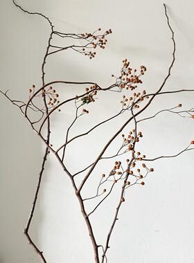 厅红色山归来干花花束干树枝真花插客桌面装饰寂FIS摆件侘风瓶插