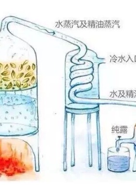 熟地黄精油固肾中元气前列腺精油乌发中医精油按摩益精肾阴不足