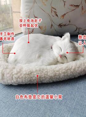 会呼吸的猫仿真猫模型摆件毛绒睡狗认知症老人情绪安抚宠物疗法