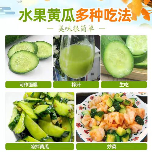 【香菇来了】新鲜水果黄瓜清新脆爽春季尝鲜生吃小黄瓜沙拉 - 图3