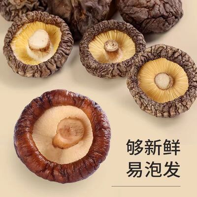 香菇干货肉厚干蘑菇香茹