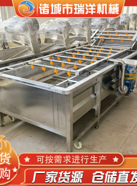 供应蔬菜清洗机全自动莴笋气泡清洗机设备鲜蒜气泡果蔬清洗机