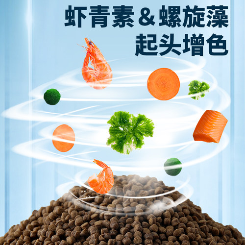 57%高蛋白兰寿饲料泰狮鱼兰寿金鱼专用饲料鱼食起头增艳下沉鱼粮 - 图2
