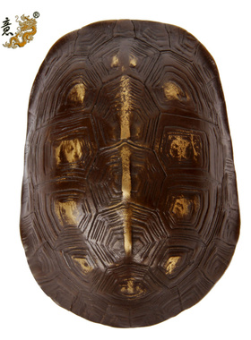 真古意 纯铜乌龟壳摆件文玩手把件铜龟壳六爻工具器具随身工艺品