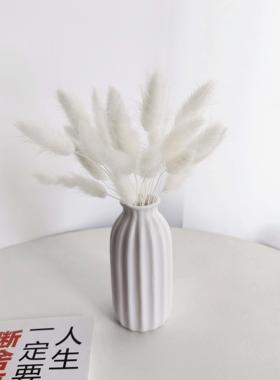 白色兔尾草乾燥花真花家居装饰玻璃花瓶摆件客厅餐桌小清新插花摆