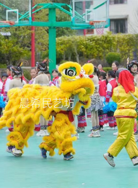 舞狮道具儿童单人双人醒狮表演道具南师服装中学小学生幼儿狮子头