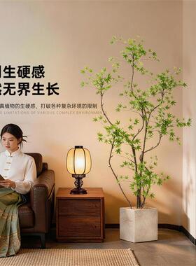 仿生植物枫树高级感轻奢落地摆件仿真绿植室内客厅家居美学装饰