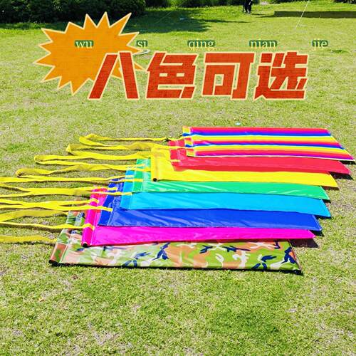 魔法飞毯幼儿园趣味运动拖车游戏道具亲子互动户外体智能感统器材 - 图1