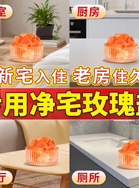 粗盐净宅大颗粒海盐专用原盐搬家结婚乔迁新居家居净化消磁场摆件