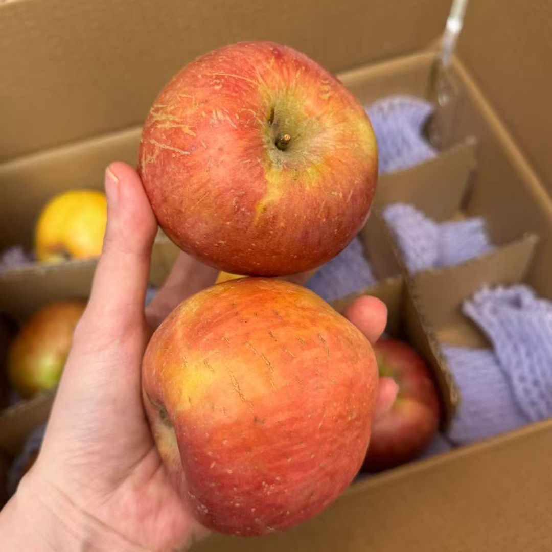 山疆湾阿克苏冰糖心苹果4.5斤净重新鲜现摘现发当季水果S