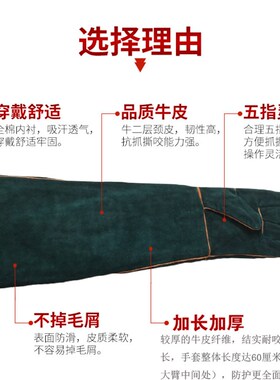 防咬手套训狗训犬喂食抓松鼠刺猬抓养宠物防动物咬伤防护加长安全