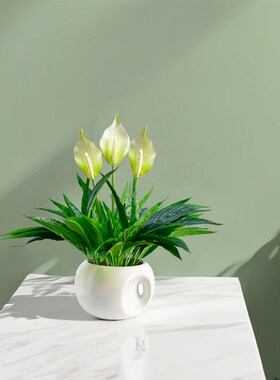 高档仿真绿色植物白掌一帆风顺仿真花塑料花假花绿植盆栽室内装饰