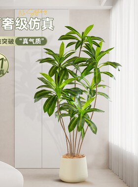 仿真绿植巴西木室内客厅沙发边装饰轻奢大型落地盆栽摆件假植物树