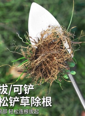 德国进口不锈钢除草钩拔草神器连根懒人全钢锄草耙子小除草器农用