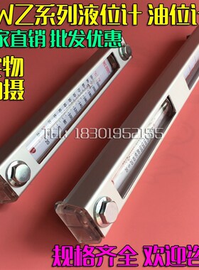 液位计油位计水位计YWZ-200T250T300T350T400T450T500T油标油温计