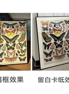 Cavallini植物花卉蝴蝶拼图框1000片500片架裱框70*55*35画框相框