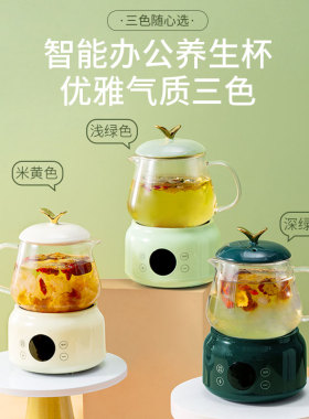 办公室玻璃养生杯小型家用迷你养生壶多功能煮花茶壶电热杯煮茶杯