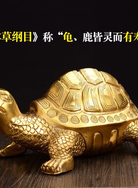 纯铜乌龟摆件 镇宅铜龟招财家居风水摆设