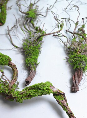 仿真老树藤苔藓枯藤森系造景装饰摆放假藤青苔藤垂挂陈列树枝花艺
