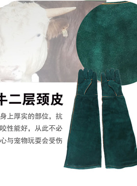 防咬手套训狗训犬喂食抓松鼠刺猬抓养宠物防动物咬伤防护加长安全