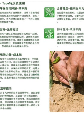 日本进口糯米纸嫁接膜自粘免拆可降解蔷薇月季金蛋子嫁接带专用季