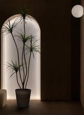 仿真绿植大型龙血树盆栽室内民宿门店装饰高级仿生假植物落地摆件