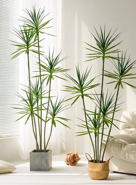 龙血树彷真绿色植物高端轻奢室内客厅大型落地盆栽摆件彷生植物假