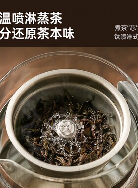 纯钛喷淋双茶漏煮茶壶家用0.9L-1.5L 格丽思养生壶蒸汽烧水泡茶器