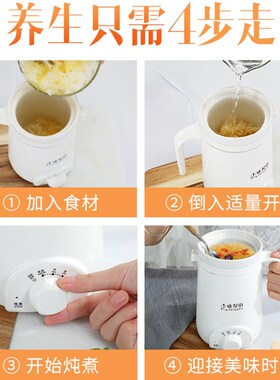 可调温度便携110V电热杯 白色迷你养生炖煮两用电杯