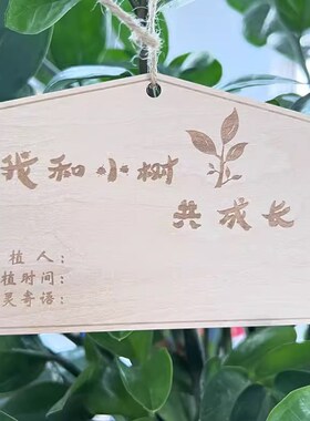 10片定制木质挂牌 植树节挂牌树木认养牌 学校植树节吊牌名字卡