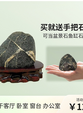 保真天然泰山石不切割不打磨景区内原石镇宅客厅卧室窗台实木摆件