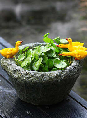铜钱草碗莲水培植物花盆小鸭子摆件创意仿石臼桌面装饰品摆设礼物