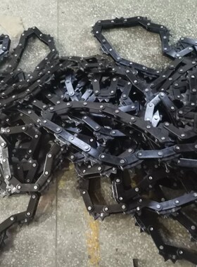 流水线配件涂装喷塑喷漆台湾150驱动大链条悬挂输送母链5吨传动链